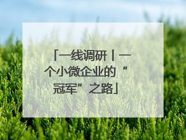 一线调研丨一个小微企业的“冠军”之路