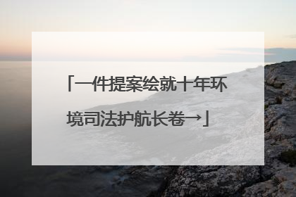 一件提案绘就十年环境司法护航长卷→