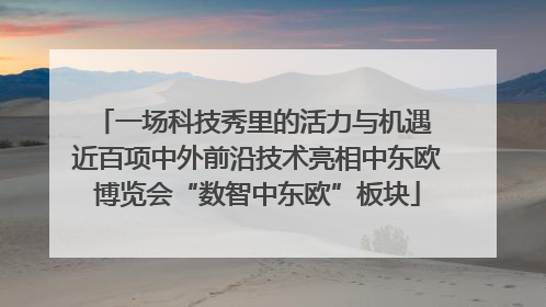 一场科技秀里的活力与机遇 近百项中外前沿技术亮相中东欧博览会“数智中东欧”板块