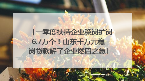 一季度扶持企业稳岗扩岗6.7万个！山东千万元稳岗贷款解了企业燃眉之急