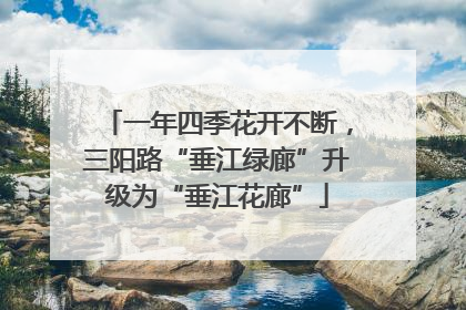 一年四季花开不断，三阳路“垂江绿廊”升级为“垂江花廊”