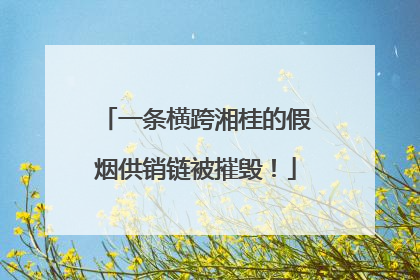 一条横跨湘桂的假烟供销链被摧毁！