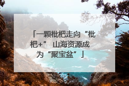 一颗枇杷走向“枇杷+” 山海资源成为“聚宝盆”