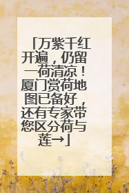 万紫千红开遍，仍留一荷清凉！厦门赏荷地图已备好，还有专家带您区分荷与莲→