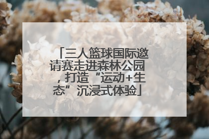 三人篮球国际邀请赛走进森林公园，打造“运动+生态”沉浸式体验