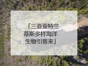 三亚亚特兰蒂斯多样海洋生物引客来