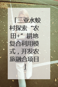 三亚水蛟村探索“农田+”耕地复合利用模式，开发农旅融合项目