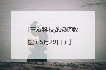 三友科技龙虎榜数据（5月29日）