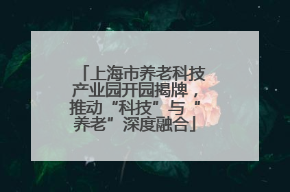 上海市养老科技产业园开园揭牌，推动“科技”与“养老”深度融合