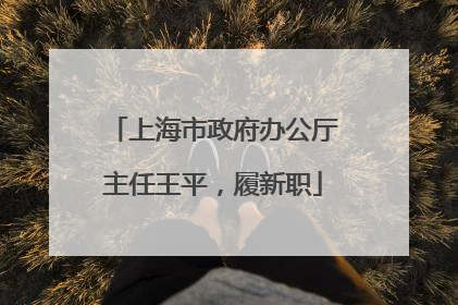 上海市政府办公厅主任王平，履新职
