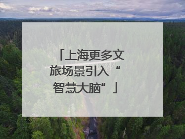 上海更多文旅场景引入“智慧大脑”