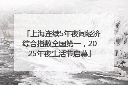 上海连续5年夜间经济综合指数全国第一，2025年夜生活节启幕