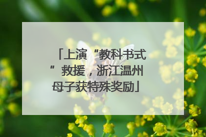上演“教科书式”救援，浙江温州母子获特殊奖励