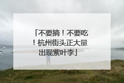 不要摘！不要吃！杭州街头正大量出现紫叶李