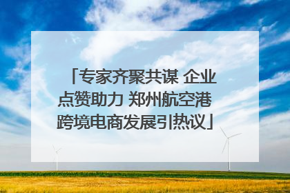 专家齐聚共谋 企业点赞助力 郑州航空港跨境电商发展引热议