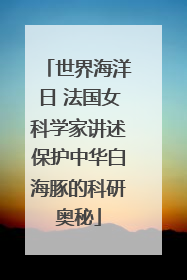 世界海洋日 法国女科学家讲述保护中华白海豚的科研奥秘