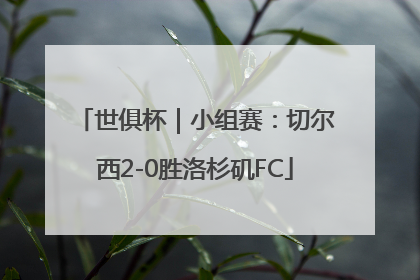 世俱杯｜小组赛：切尔西2-0胜洛杉矶FC