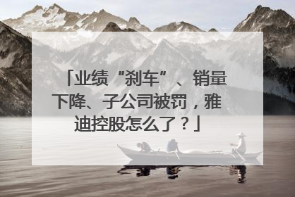 业绩“刹车”、销量下降、子公司被罚，雅迪控股怎么了？