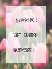 东台社区：“廉”味端午 党群情浓