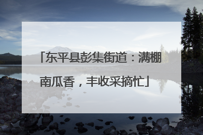东平县彭集街道：满棚南瓜香，丰收采摘忙
