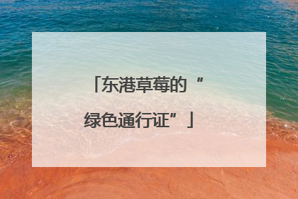 东港草莓的“绿色通行证”