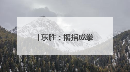 东胜：攥指成拳聚合力 “暖城善治”显真章