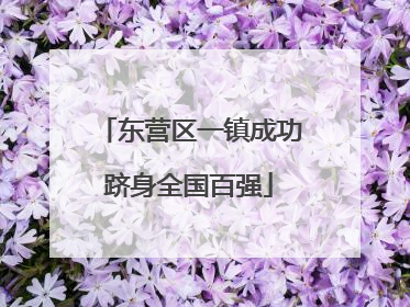 东营区一镇成功跻身全国百强