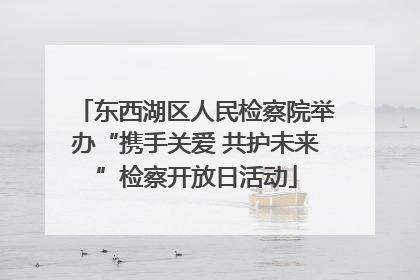 东西湖区人民检察院举办“携手关爱 共护未来”检察开放日活动