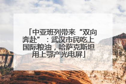 中亚班列带来“双向奔赴”：武汉市民吃上国际粮油，哈萨克斯坦用上鄂产光电屏