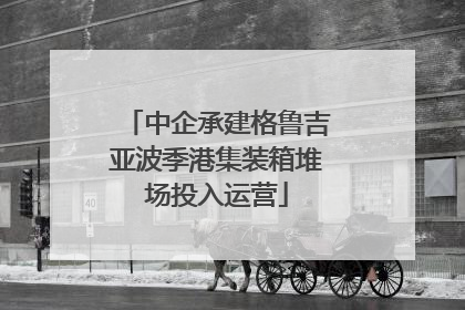 中企承建格鲁吉亚波季港集装箱堆场投入运营