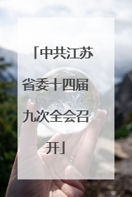 中共江苏省委十四届九次全会召开