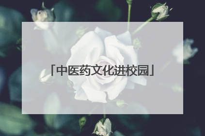 中医药文化进校园