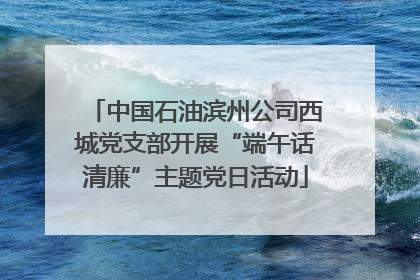 中国石油滨州公司西城党支部开展“端午话清廉”主题党日活动