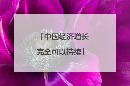 中国经济增长完全可以持续