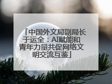 中国外文局副局长于运全：AI赋能和青年力量共促网络文明交流互鉴
