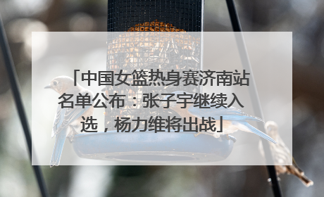 中国女篮热身赛济南站名单公布：张子宇继续入选，杨力维将出战