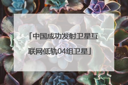 中国成功发射卫星互联网低轨04组卫星