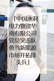 中国水利电力物资华南有限公司党员突击队勇当新能源市场开拓排头兵