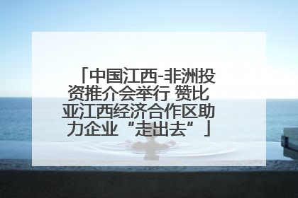 中国江西-非洲投资推介会举行 赞比亚江西经济合作区助力企业“走出去”