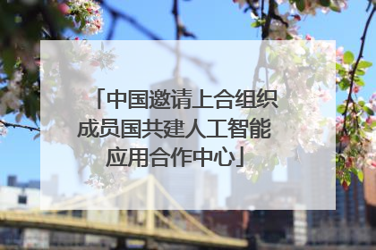 中国邀请上合组织成员国共建人工智能应用合作中心