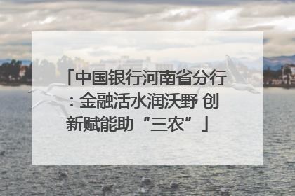 中国银行河南省分行：金融活水润沃野 创新赋能助“三农”