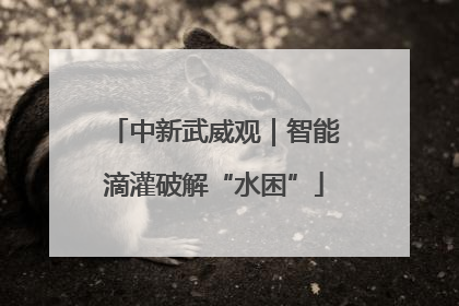 中新武威观｜智能滴灌破解“水困”