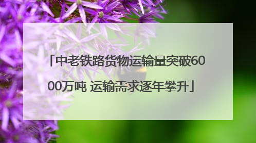 中老铁路货物运输量突破6000万吨 运输需求逐年攀升