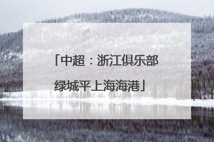 中超：浙江俱乐部绿城平上海海港