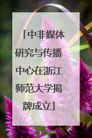 中非媒体研究与传播中心在浙江师范大学揭牌成立