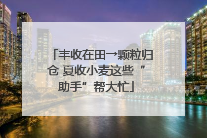 丰收在田→颗粒归仓 夏收小麦这些“助手”帮大忙