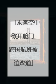 乘客空中欲开舱门 跨国航班被迫改道