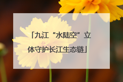 九江“水陆空”立体守护长江生态链