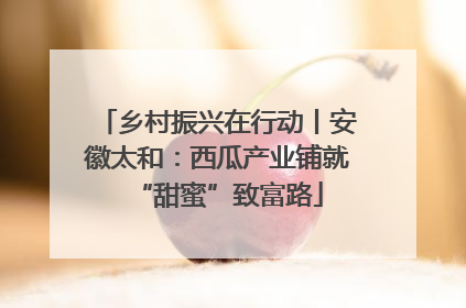 乡村振兴在行动丨安徽太和：西瓜产业铺就“甜蜜”致富路