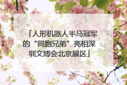 人形机器人半马冠军的“同胞兄弟”亮相深圳文博会北京展区
